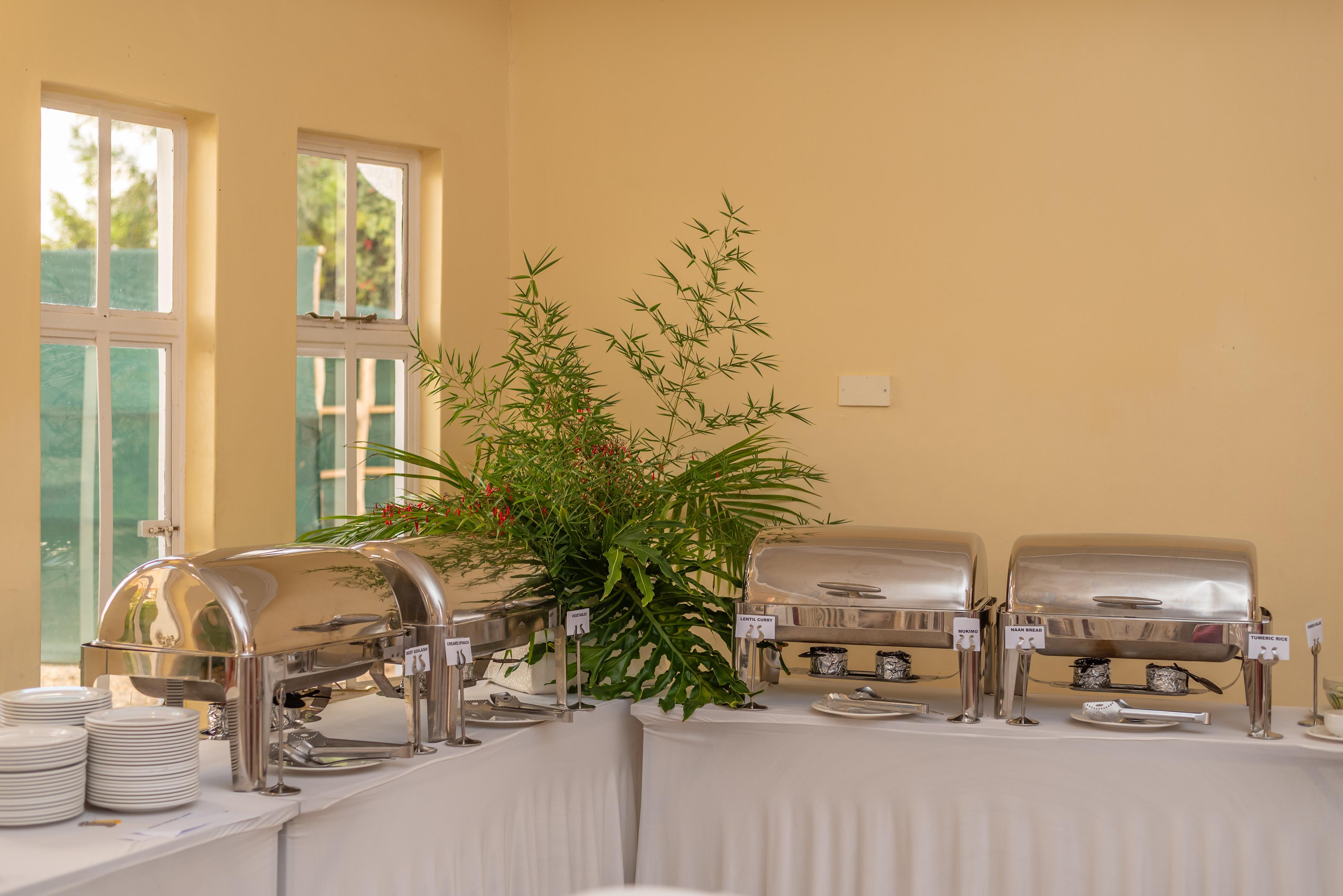 Elegant Meals